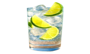 Gin Tonic